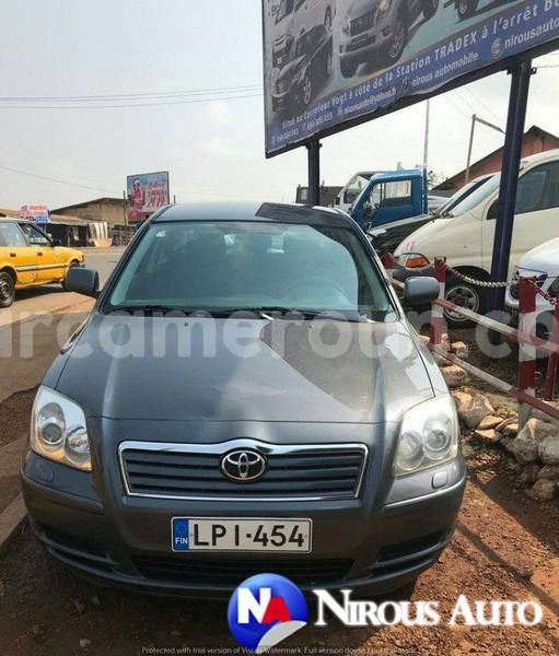 Big with watermark 50487786 716628222071092 4780111610456834048 n