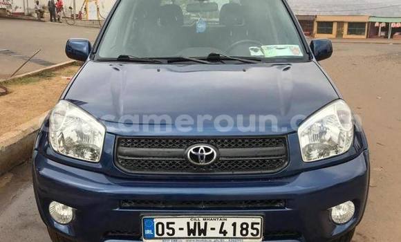 Acheter Occasion Voiture Toyota RAV4 Bleu à Yaoundé, Central Cameroon Acheter Occasion Voiture Toyota RAV4 Bleu à Yaoundé, Central Cameroon