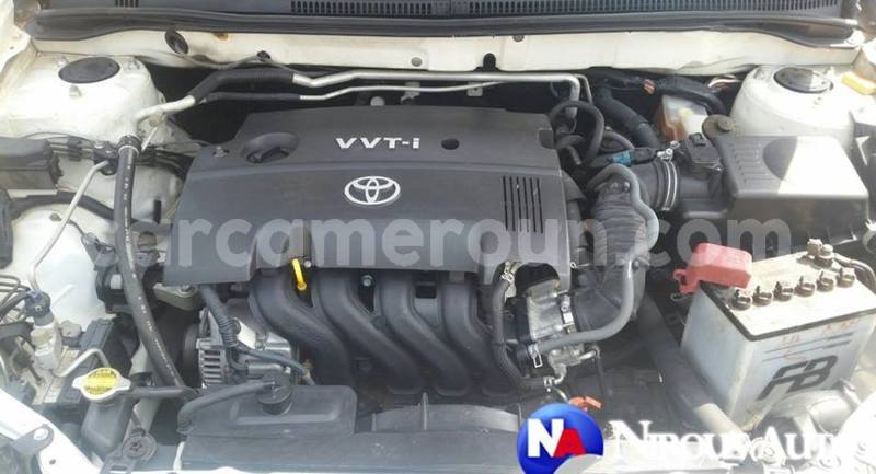 Big with watermark 49686287 708012609599320 4903851185917657088 n