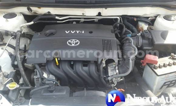 Acheter Occasion Voiture Toyota Runx Blanc à Yaoundé, Central Cameroon Acheter Occasion Voiture Toyota Runx Blanc à Yaoundé, Central Cameroon