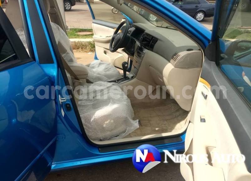 Big with watermark 49058242 701927563541158 2464308636508225536 n