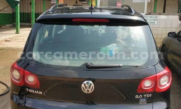 Buy Used Volkswagen Tiguan Black Car in Douala in Littoral Cameroon Buy Used Volkswagen Tiguan Black Car in Douala in Littoral Cameroon