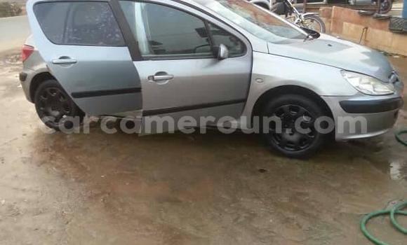 Buy Used Peugeot 307 Silver Car in Douala in Littoral Cameroon Buy Used Peugeot 307 Silver Car in Douala in Littoral Cameroon
