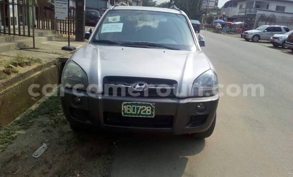 Buy Used Hyundai Tucson Silver Car in Douala in Littoral Cameroon Buy Used Hyundai Tucson Silver Car in Douala in Littoral Cameroon