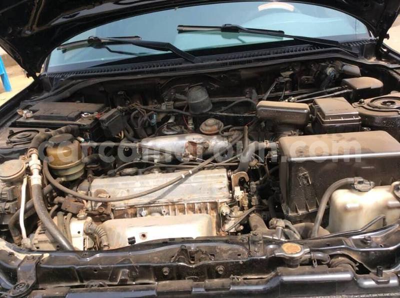 Big with watermark 50943426 551308558677696 5548139187040944128 n