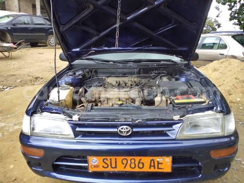 Big with watermark 50514831 551039658704586 3022305354470916096 n