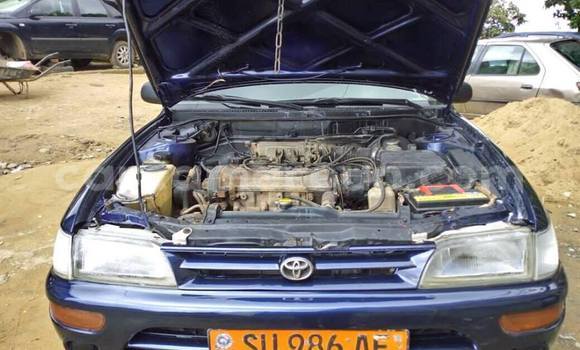Buy Used Toyota Corolla Blue Car in Douala in Littoral Cameroon Buy Used Toyota Corolla Blue Car in Douala in Littoral Cameroon