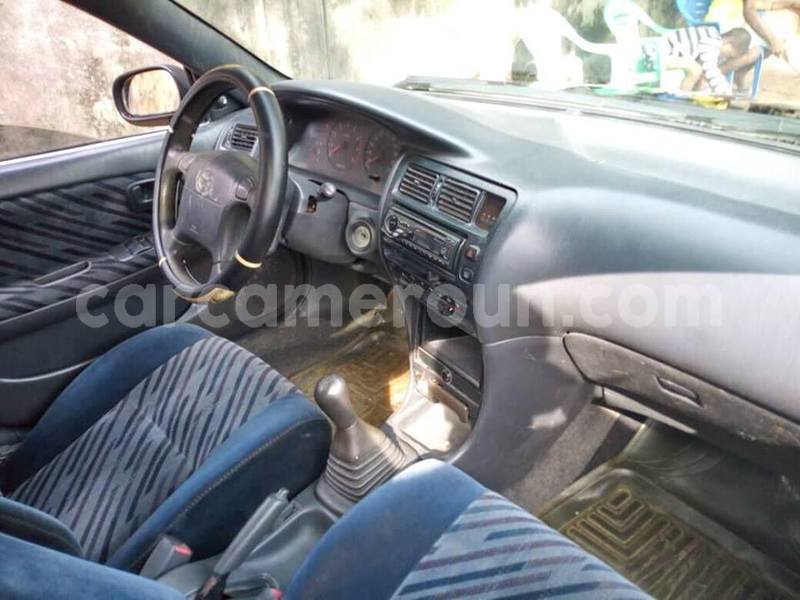 Big with watermark 50883674 551039632037922 6654224167774191616 n