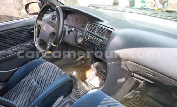 Buy Used Toyota Corolla Blue Car in Douala in Littoral Cameroon Buy Used Toyota Corolla Blue Car in Douala in Littoral Cameroon