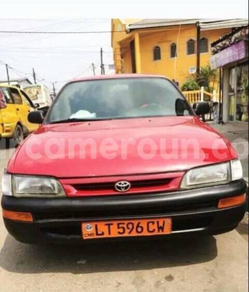 Big with watermark 51032882 551039582037927 5775908647141900288 n