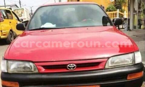 Buy Used Toyota Corolla Red Car in Douala in Littoral Cameroon Buy Used Toyota Corolla Red Car in Douala in Littoral Cameroon