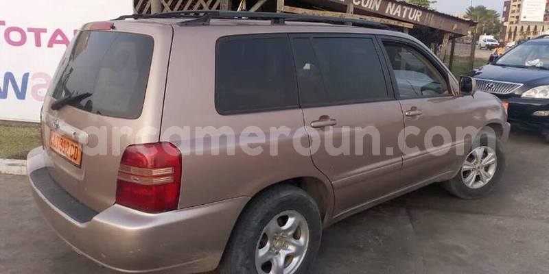 Big with watermark 51462506 550988908709661 2057300308425441280 n