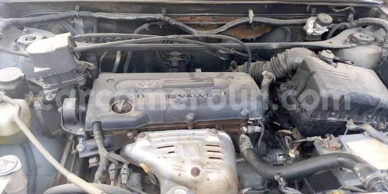 Big with watermark 51506016 550988958709656 3932226079145590784 n