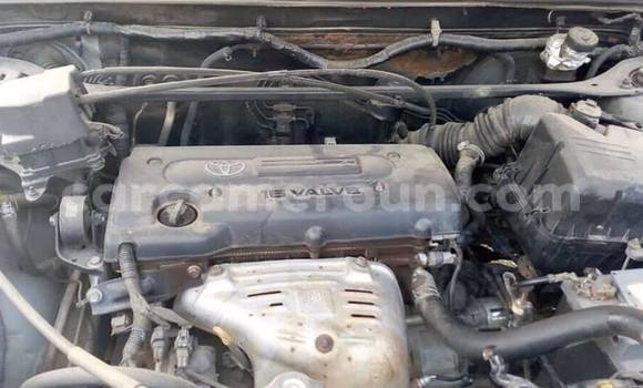 Buy Used Toyota Highlander Brown Car in Douala in Littoral Cameroon Buy Used Toyota Highlander Brown Car in Douala in Littoral Cameroon