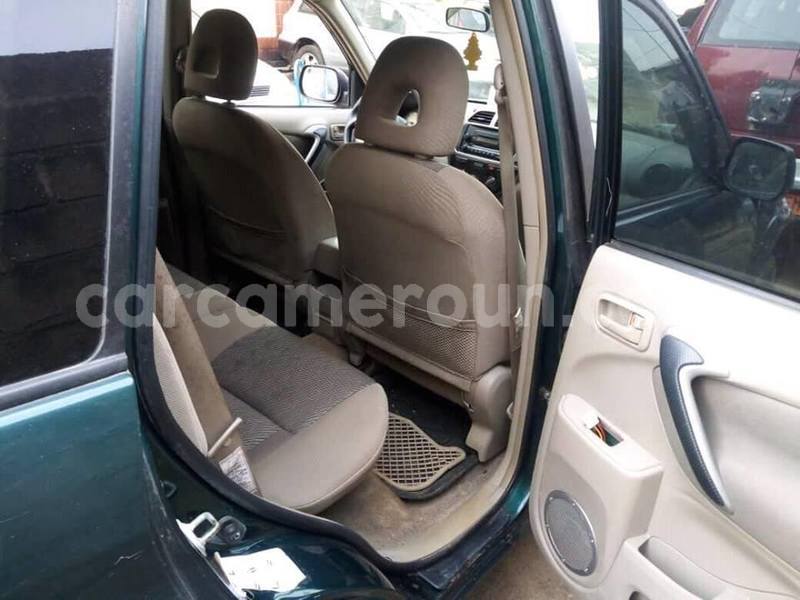 Big with watermark 50622455 549213595553859 6624080313469370368 n