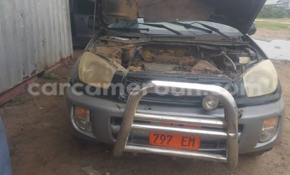 Acheter Occasion Voiture Toyota RAV4 Autre à Douala, Littoral Cameroon Acheter Occasion Voiture Toyota RAV4 Autre à Douala, Littoral Cameroon
