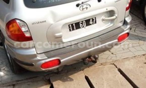 Acheter Occasion Voiture Hyundai Santa Fe Gris à Douala, Littoral Cameroon Acheter Occasion Voiture Hyundai Santa Fe Gris à Douala, Littoral Cameroon