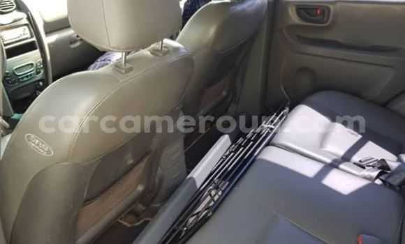 Acheter Occasion Voiture Hyundai Santa Fe Gris à Douala, Littoral Cameroon Acheter Occasion Voiture Hyundai Santa Fe Gris à Douala, Littoral Cameroon