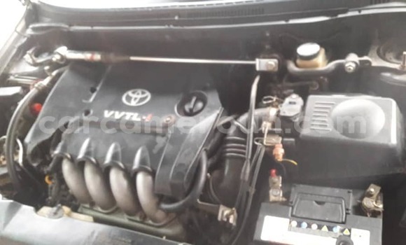 Acheter Occasion Voiture Toyota Corolla Autre à Yaoundé, Central Cameroon Acheter Occasion Voiture Toyota Corolla Autre à Yaoundé, Central Cameroon