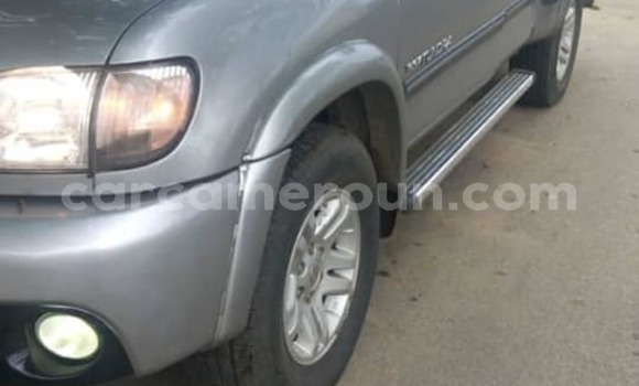 Acheter Occasion Voiture Toyota Tundra Autre à Douala, Littoral Cameroon Acheter Occasion Voiture Toyota Tundra Autre à Douala, Littoral Cameroon
