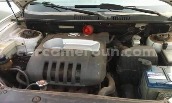 Acheter Occasion Voiture Hyundai Santa Fe Gris à Douala, Littoral Cameroon Acheter Occasion Voiture Hyundai Santa Fe Gris à Douala, Littoral Cameroon