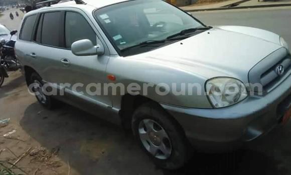 Acheter Occasion Voiture Hyundai Santa Fe Gris à Douala, Littoral Cameroon Acheter Occasion Voiture Hyundai Santa Fe Gris à Douala, Littoral Cameroon