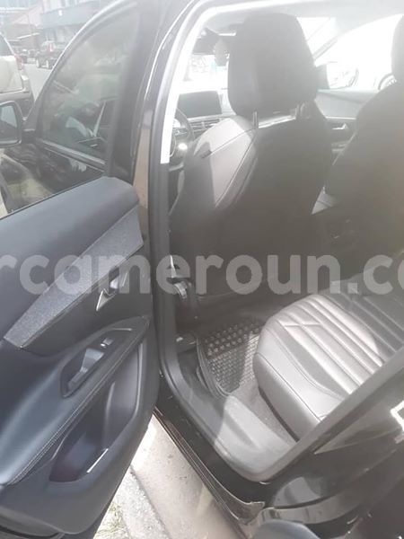 Big with watermark 50502899 2460114637350135 7731234225663246336 n