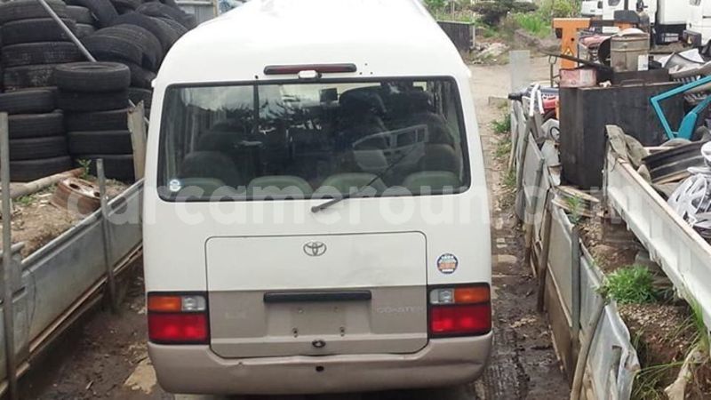 Big with watermark 48387199 2406730912688508 9207986815460442112 n