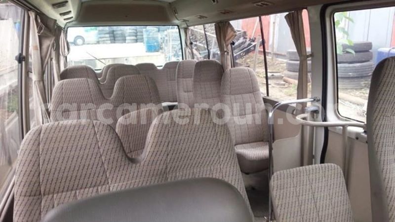 Big with watermark 48357543 2406730892688510 1415310063265906688 n