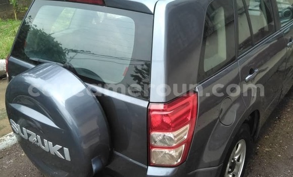Buy Used Suzuki Grand Vitara Silver Car in Douala in Littoral Cameroon Buy Used Suzuki Grand Vitara Silver Car in Douala in Littoral Cameroon