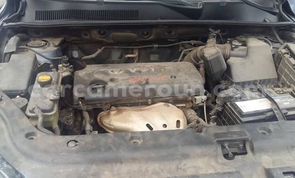 Buy Used Toyota RAV4 Blue Car in Yaounde in Central Cameroon Buy Used Toyota RAV4 Blue Car in Yaounde in Central Cameroon