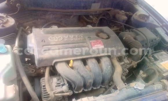 Buy Used Toyota Corolla Blue Car in Yaounde in Central Cameroon Buy Used Toyota Corolla Blue Car in Yaounde in Central Cameroon
