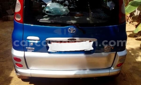 Buy Used Toyota Yaris Blue Car in Yaounde in Central Cameroon Buy Used Toyota Yaris Blue Car in Yaounde in Central Cameroon