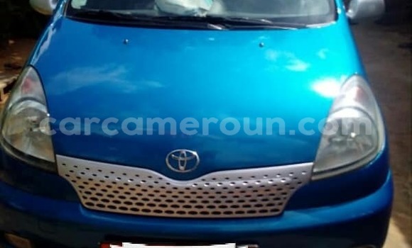 Buy Used Toyota Yaris Blue Car in Yaounde in Central Cameroon Buy Used Toyota Yaris Blue Car in Yaounde in Central Cameroon