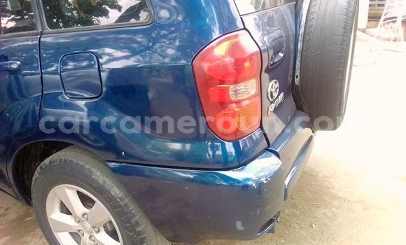 Buy Used Toyota RAV4 Blue Car in Yaounde in Central Cameroon Buy Used Toyota RAV4 Blue Car in Yaounde in Central Cameroon