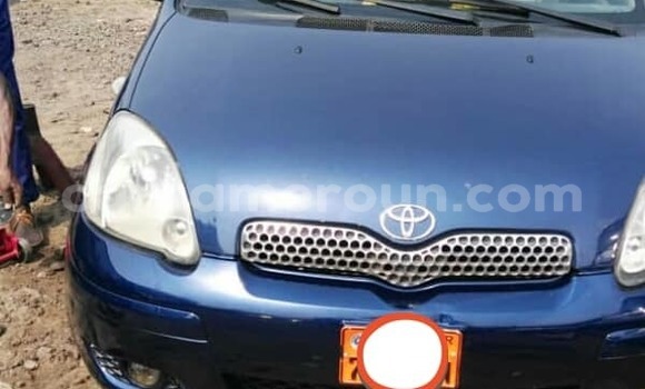 Buy Used Toyota Yaris Blue Car in Yaounde in Central Cameroon Buy Used Toyota Yaris Blue Car in Yaounde in Central Cameroon