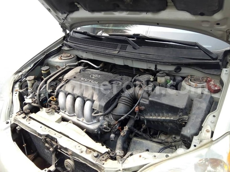 Big with watermark 51731880 3090216104337226 5509248722032132096 n