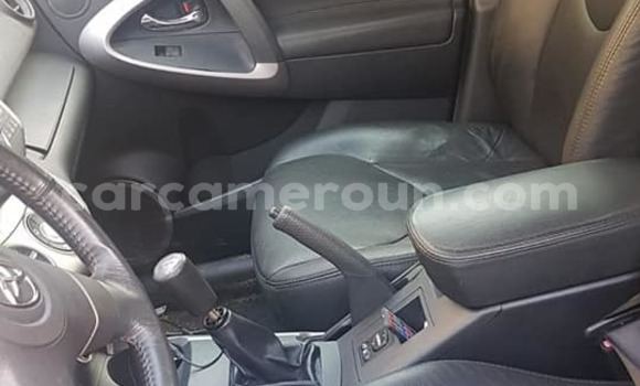 Buy Used Toyota RAV4 Silver Car in Douala in Littoral Cameroon Buy Used Toyota RAV4 Silver Car in Douala in Littoral Cameroon