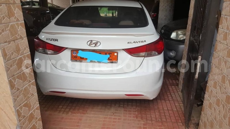 Big with watermark 52550179 3088234637868706 7611167585974878208 n