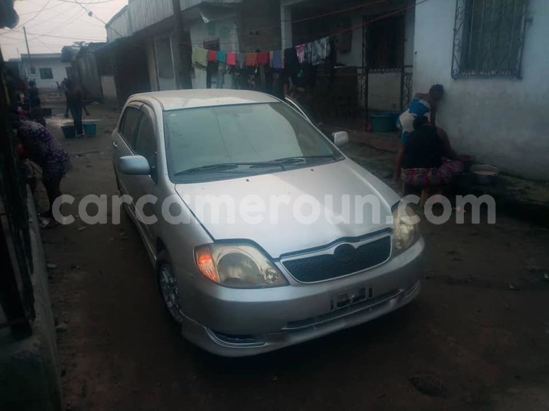 Big with watermark 52008521 3087710734587763 2755277410793422848 n