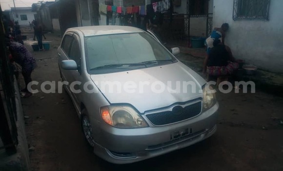 Buy Used Toyota Allex Silver Car in Douala in Littoral Cameroon Buy Used Toyota Allex Silver Car in Douala in Littoral Cameroon