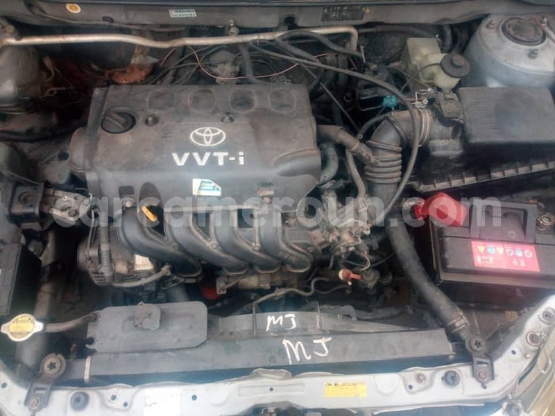 Big with watermark 51275658 3087711531254350 1786436911707979776 n