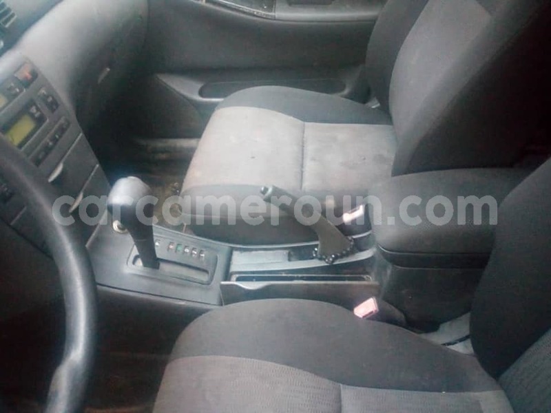 Big with watermark 52650545 3087711461254357 6570956648964161536 n