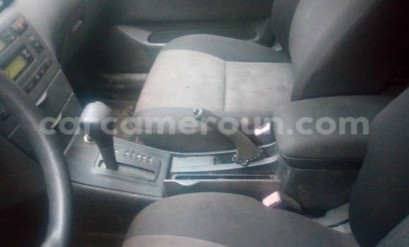Buy Used Toyota Allex Silver Car in Douala in Littoral Cameroon Buy Used Toyota Allex Silver Car in Douala in Littoral Cameroon