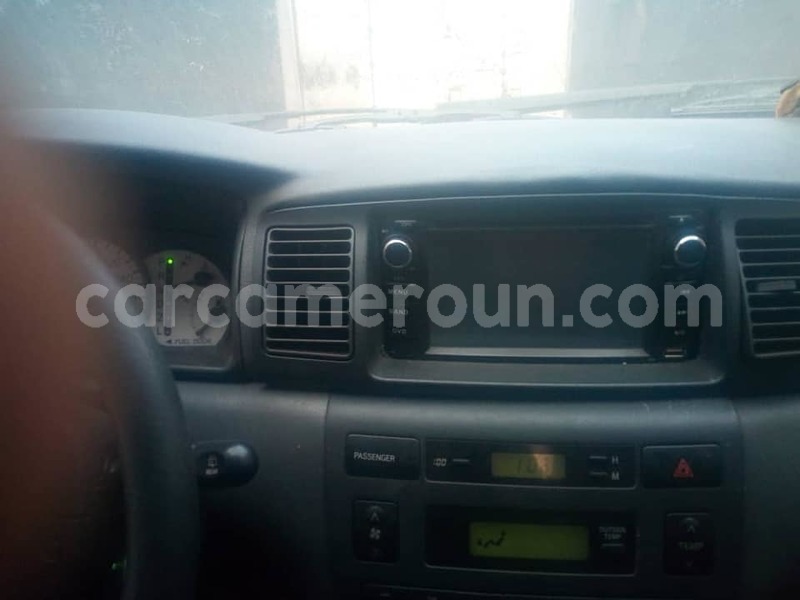 Big with watermark 52350405 3087711397921030 6616183724037898240 n