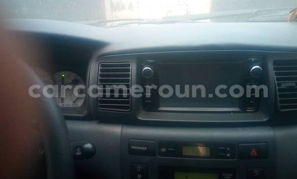 Buy Used Toyota Allex Silver Car in Douala in Littoral Cameroon Buy Used Toyota Allex Silver Car in Douala in Littoral Cameroon