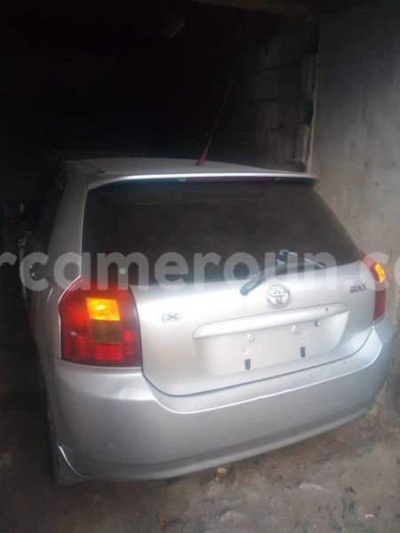 Big with watermark 52020878 3087711251254378 7300991000682430464 n