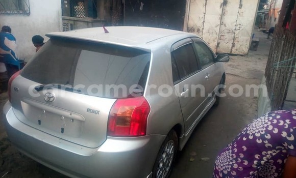 Buy Used Toyota Allex Silver Car in Douala in Littoral Cameroon Buy Used Toyota Allex Silver Car in Douala in Littoral Cameroon