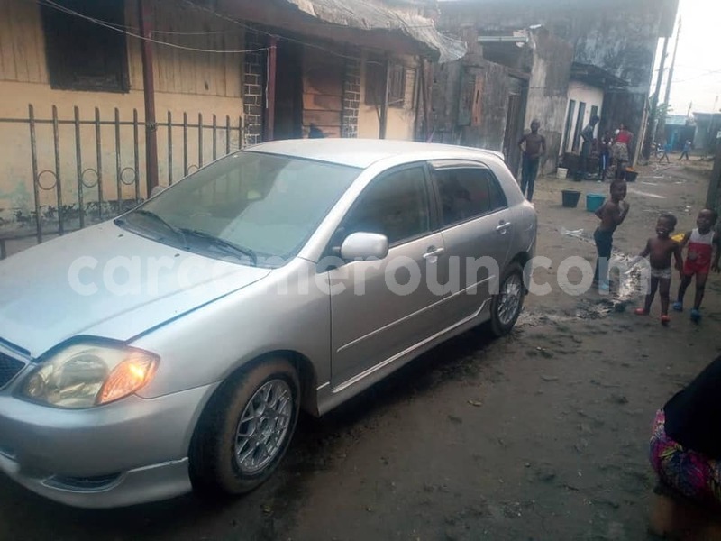 Big with watermark 52303447 3087710874587749 6672639617444872192 n