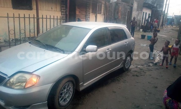 Buy Used Toyota Allex Silver Car in Douala in Littoral Cameroon Buy Used Toyota Allex Silver Car in Douala in Littoral Cameroon